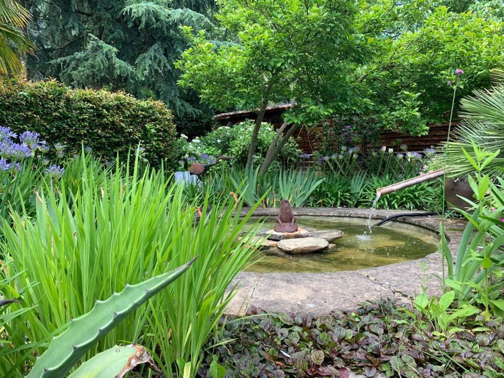 Maison En Pierre Dans Son Nid De Verdure Roz-Landrieux 외부 사진