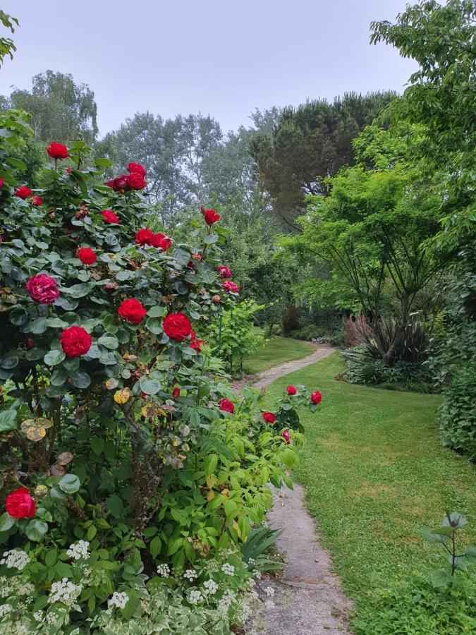 Maison En Pierre Dans Son Nid De Verdure Roz-Landrieux 외부 사진