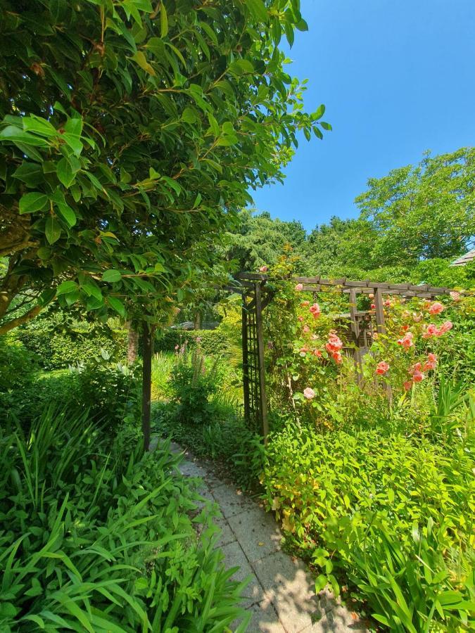 Maison En Pierre Dans Son Nid De Verdure Roz-Landrieux 외부 사진