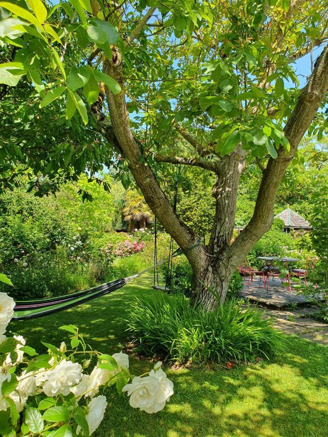 Maison En Pierre Dans Son Nid De Verdure Roz-Landrieux 외부 사진